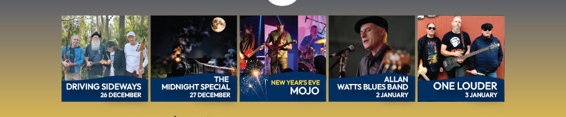 Christmas and New Year entertainment